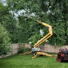 Best Fruit Tree Pruning  in Atherton, CA